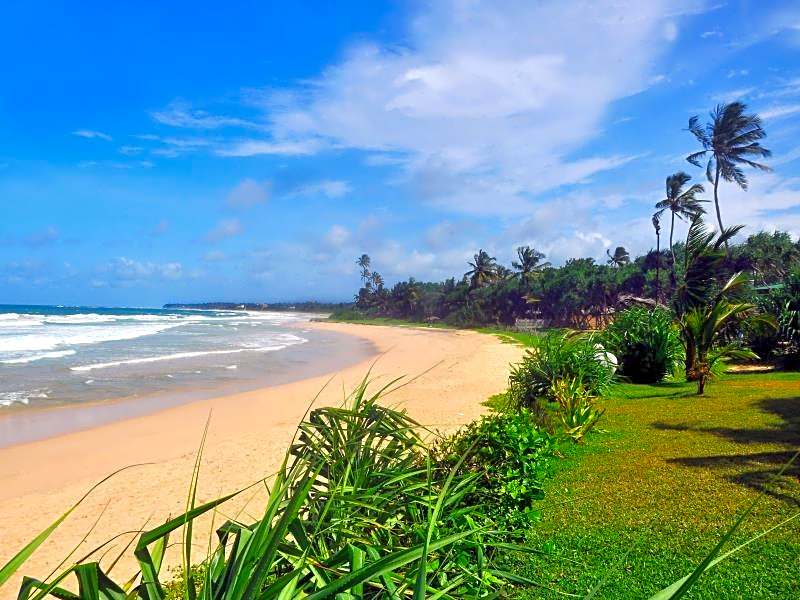 The Beach Cabanas