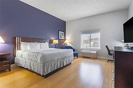 King Room with Roll-In Shower - Mobility Access