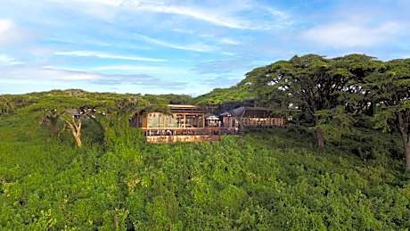Ngorongoro Lion's Paw