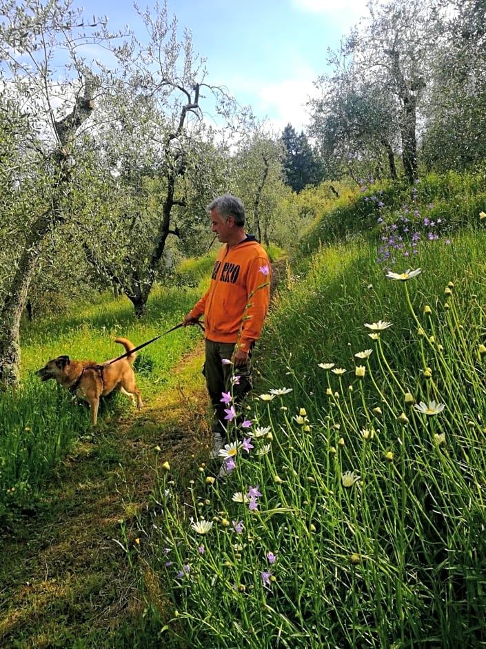 Agriturismo Tananei