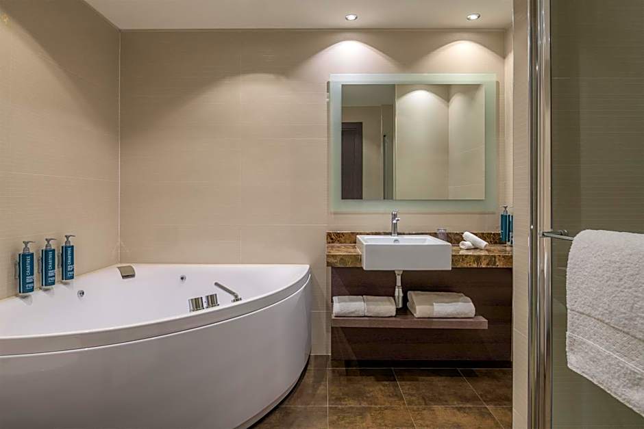 Hilton Geneva Hotel & Conference Centre