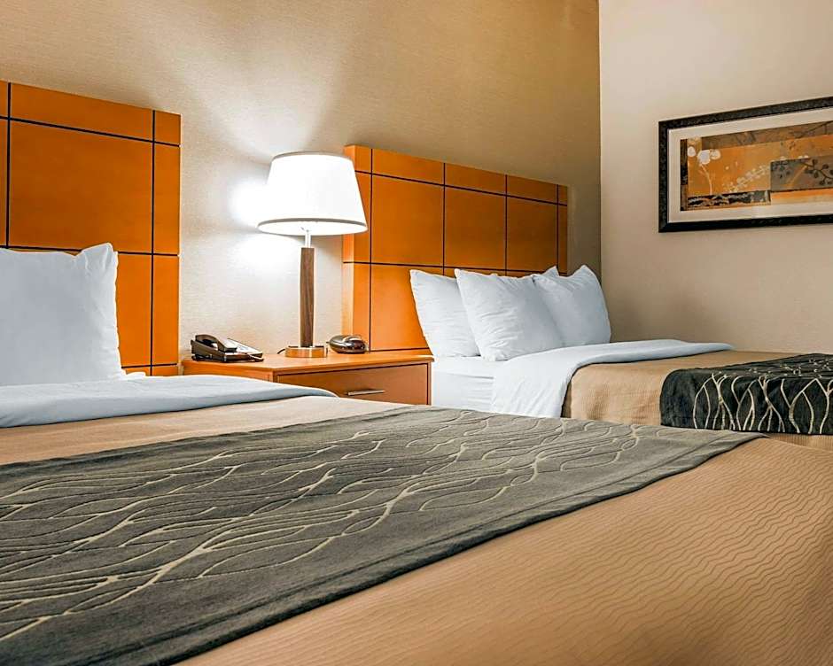 Comfort Inn Metro Airport Romulus