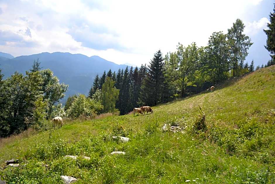 Gasthof Oberer Gesslbauer