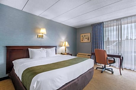 1 Queen Bed  No Smoking