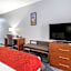 Comfort Suites Olive Branch West