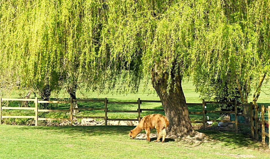 Hotel Les Suites - Domaine de Crécy