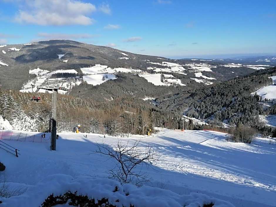 Alpengasthof Fernblick