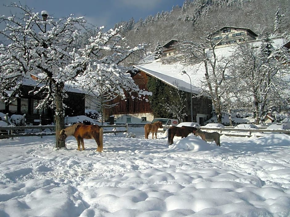 Hotel Gasthaus Schäfle