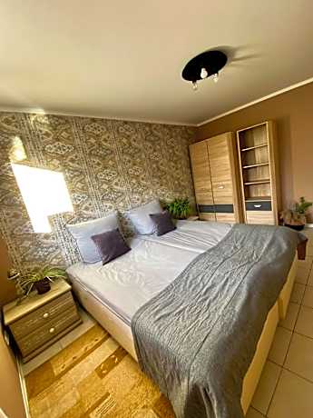 Large Double or Twin Room