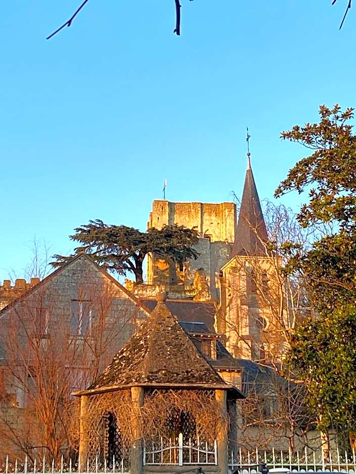 Les Rives du Cher - Chambres d'hôtes