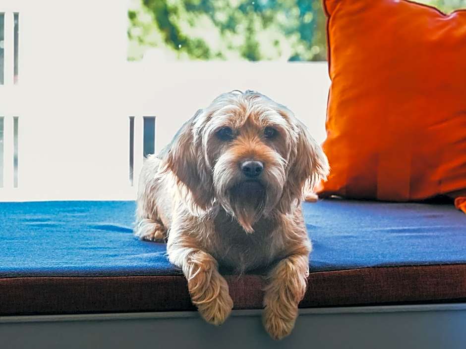 Golden Tulip Zoetermeer - Den Haag