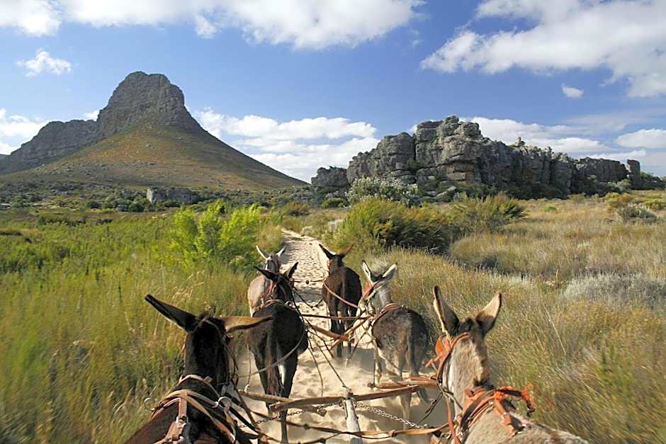 Simbavati Cederberg Ridge