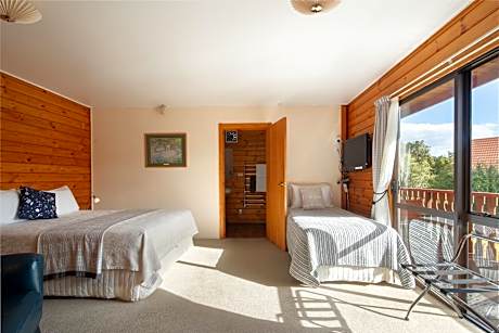 Twin/Double Room with Terrace