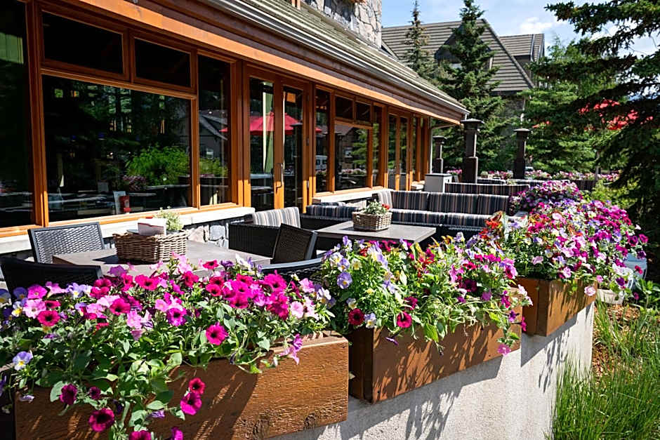 Fox Hotel And Suites
