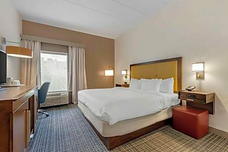 1 King Bed, Nonsmoking, Accessible