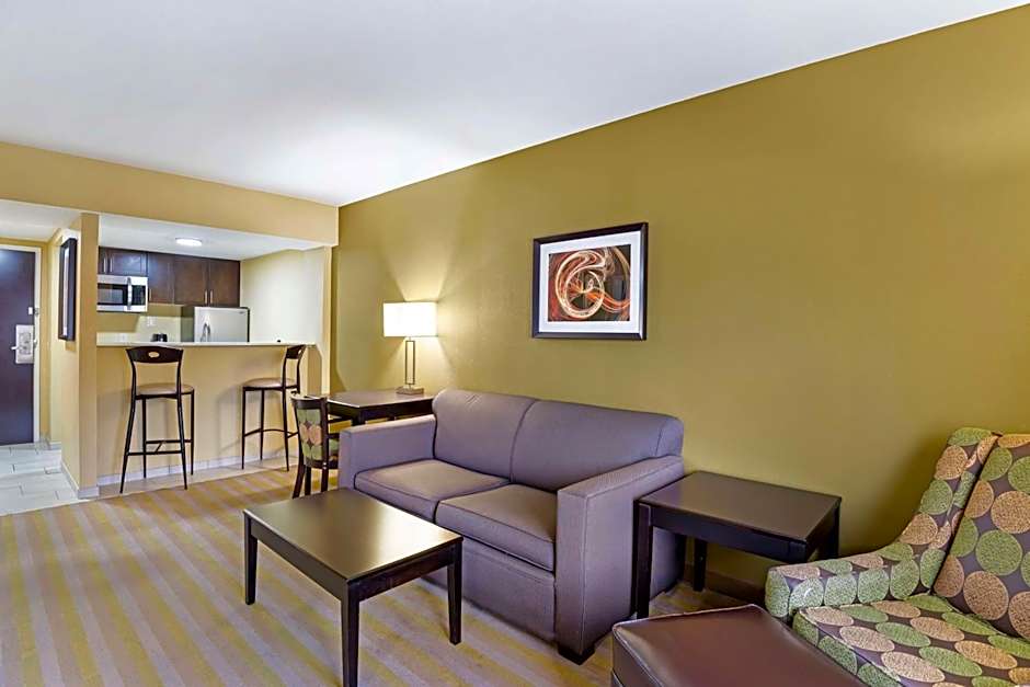 Photo 1 of 6 of One-Bedroom King Suite with Sofa Bed and Kitchenette - Non-Smoking