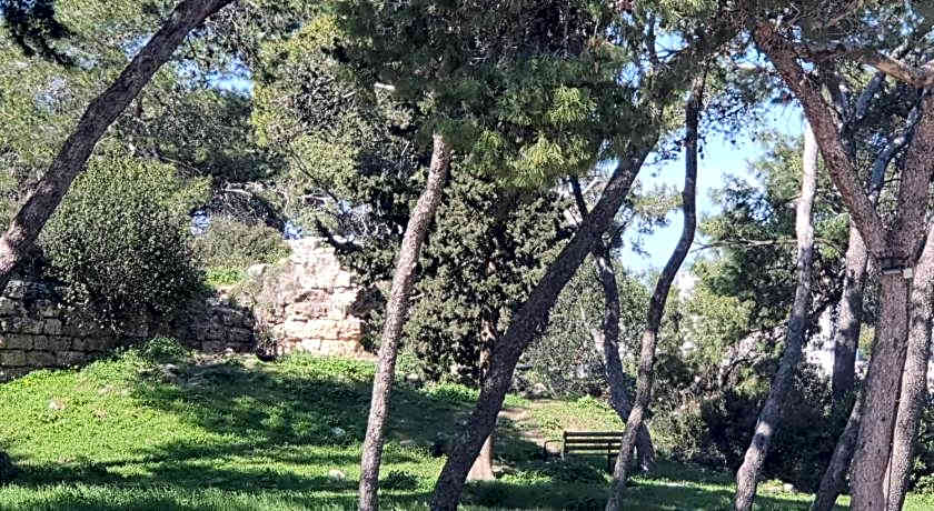 Marom Residence Romema