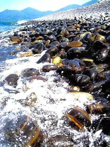 DAYA Beach, Lipe local
