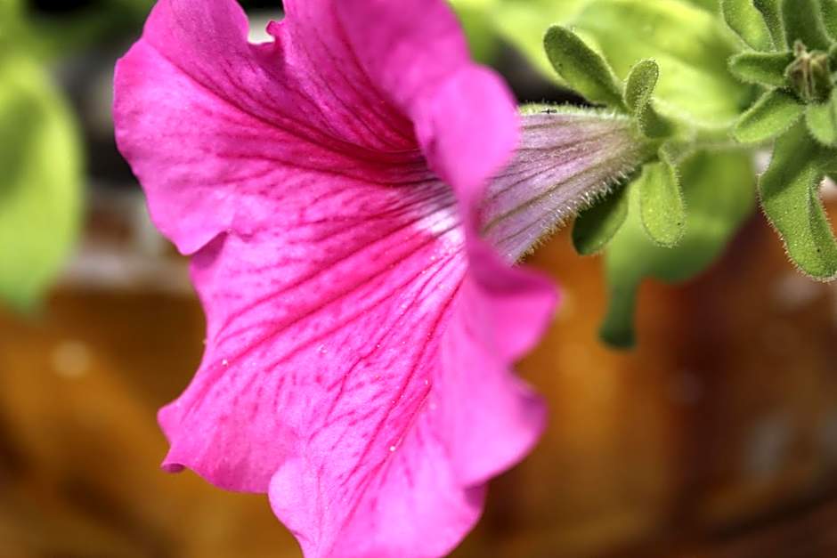 La Buona Creanza by Jdvacanze