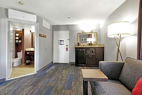 Suite King Bed One Bedroom 