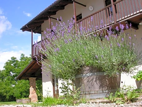 Cascina Creusa B&B