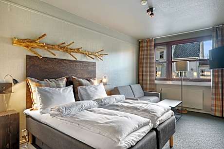 Standard Family Room with sofa bed