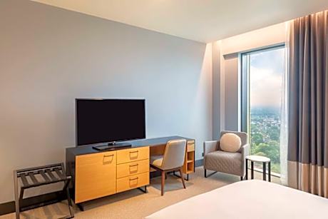 Junior Suite Accessible Queen Size Bed