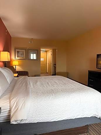 Standard King Room with Sofa Bed