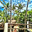 El Eden Escondido