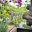 Artist's Place Trat