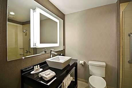 Suite, 1 King Bed with Sofa bed (1 King Bed and 1 Double Sofa Bed)