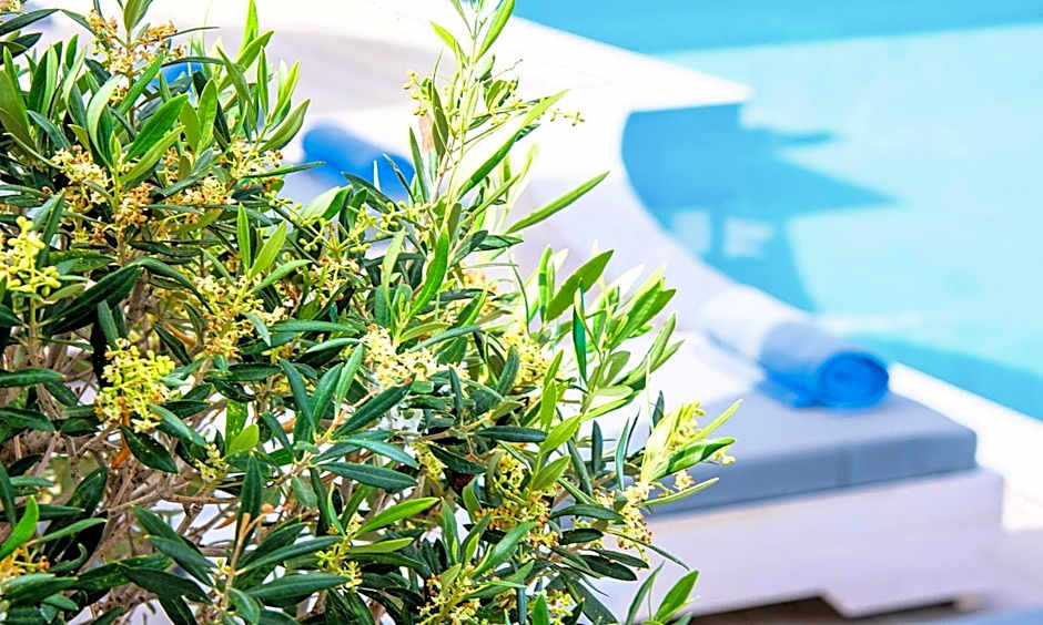Elounda Garden Suites Heated Pool