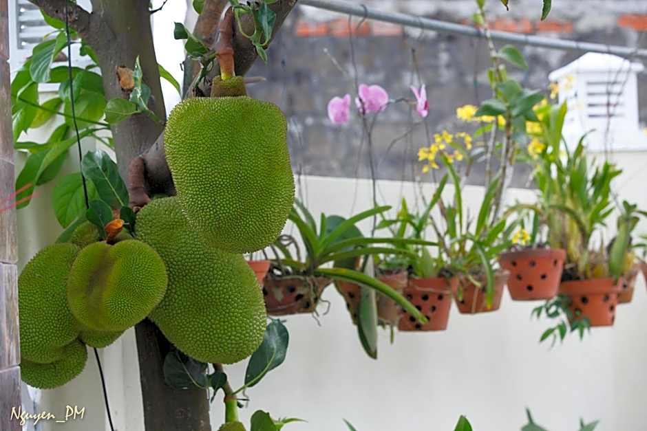 Gia Lam Villa Hoi An