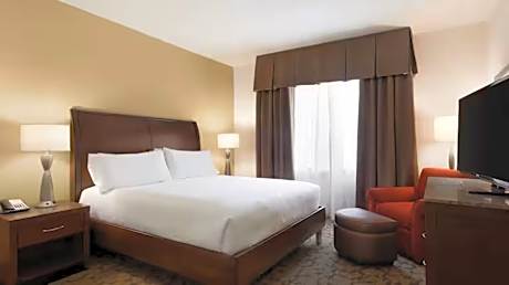 1 King Bed Junior Suite