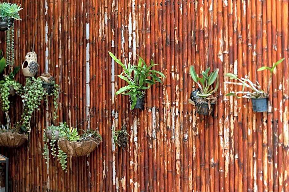 Khon Kaen Orchid Hotel