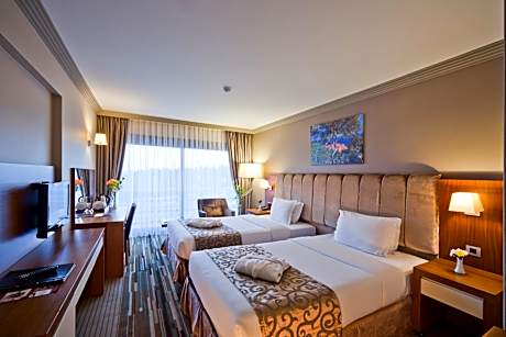 Superior Double or Twin Room with City View