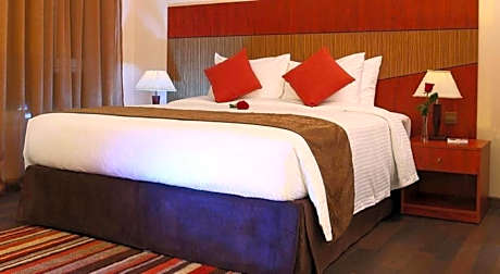 Suite-1 King Bed Executive Kitchenette Mini Bar Work Desk Wi-Fi Living Room