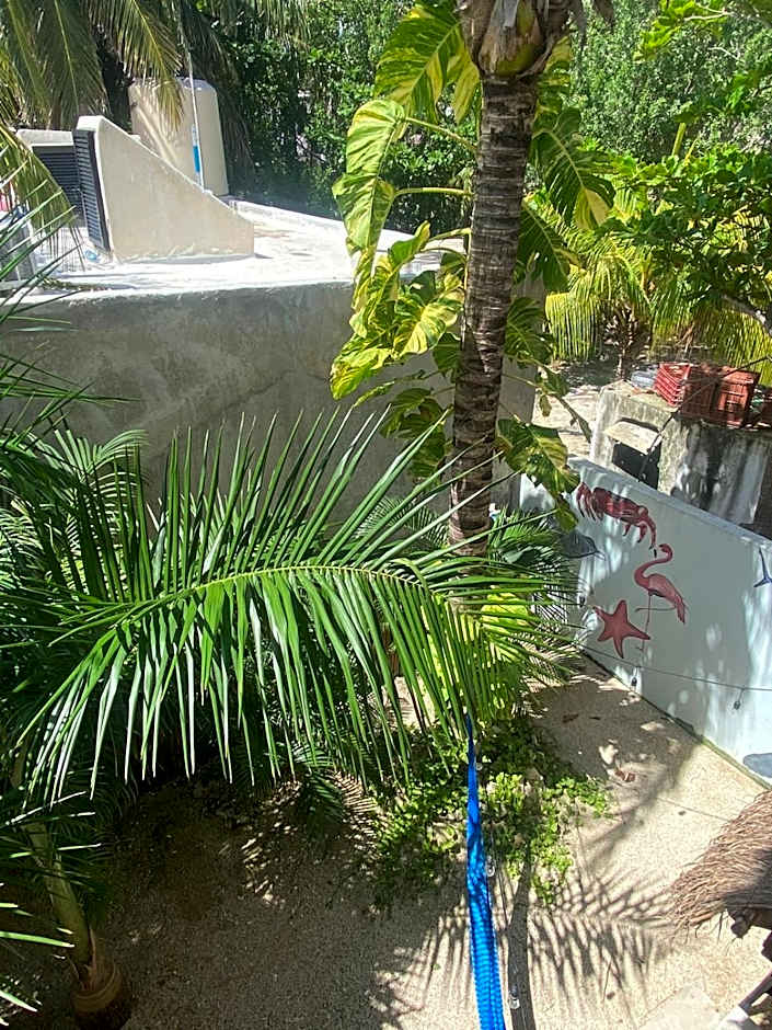 Hotel Pelecanus Suites Holbox