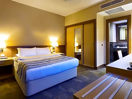 DOUBLE SINGLE USE STANDARD