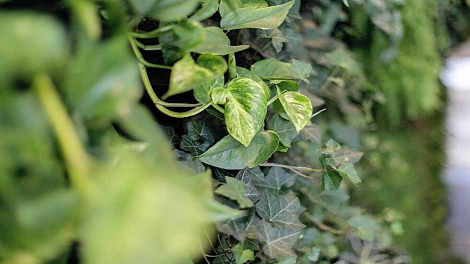 B&B HOTEL Tomaszów Lubelski