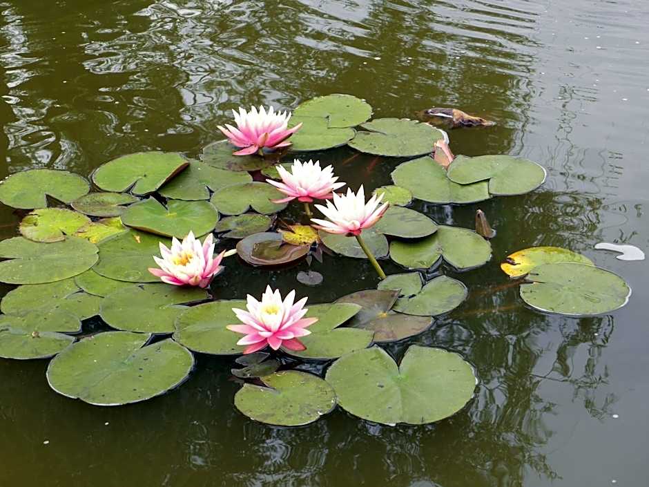 Maison d'Hôtes La Quèrière