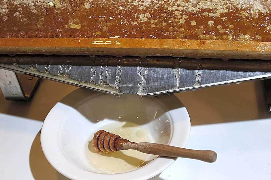 Best Western JFK Hotel