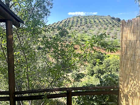 Double or Twin Room with Mountain View