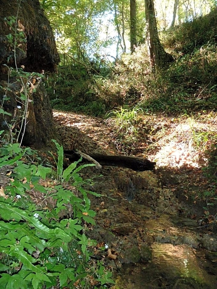 La Cascade de Hauterive