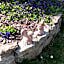 Azienda Agrituristica I Tre Casali