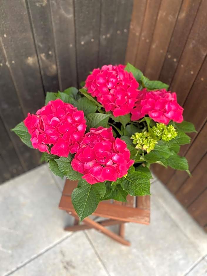 Blue Hotel Fagrilundur - On The Golden Circle