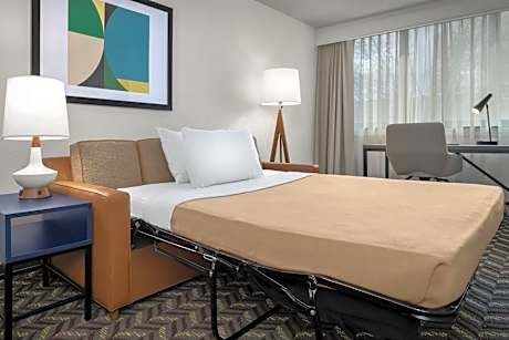 One-Bedroom King Suite with Sofa Bed - Hearing Accessible