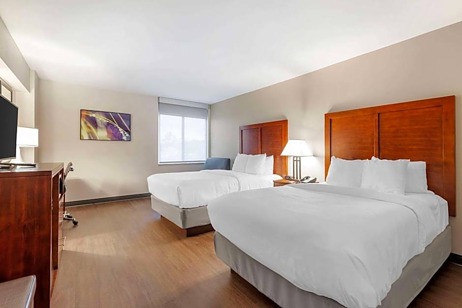 Comfort Inn Conference Center Bowie