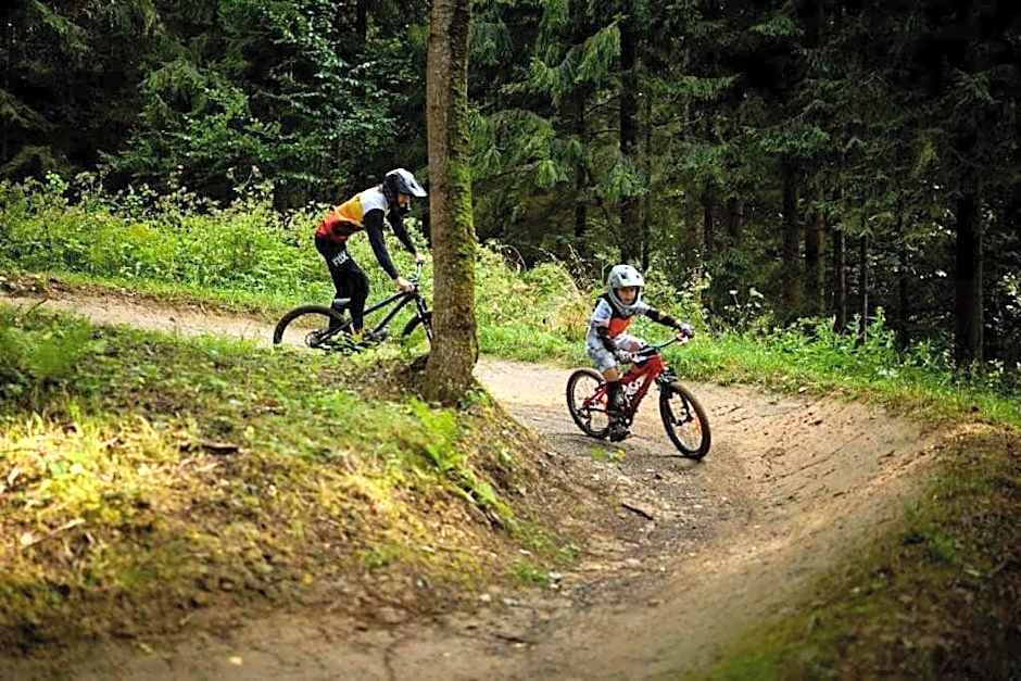 Olza Karczma i pokoje