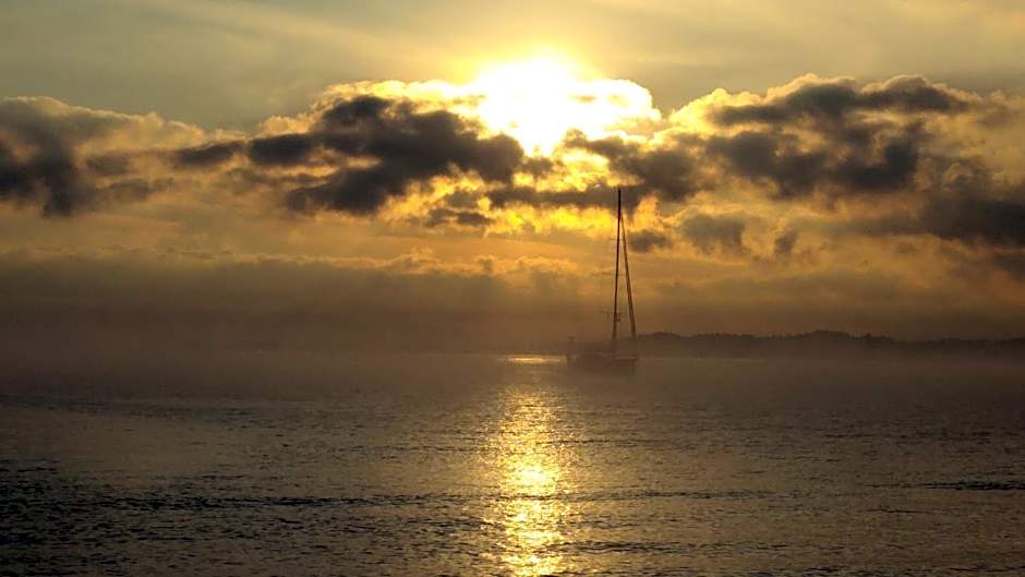 Golden Sunset